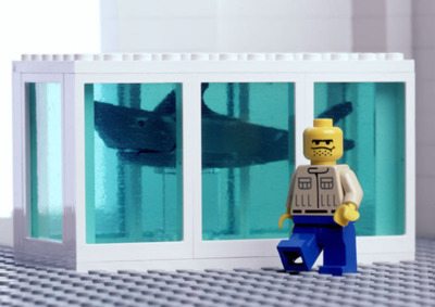 คนรัก ปลาฉลาม