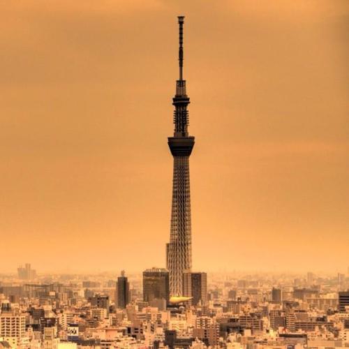 คนรัก Tokyo Sky tree