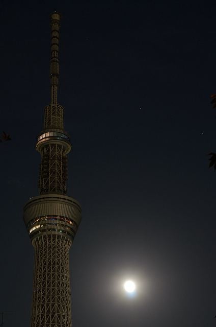 คนรัก Tokyo Sky tree