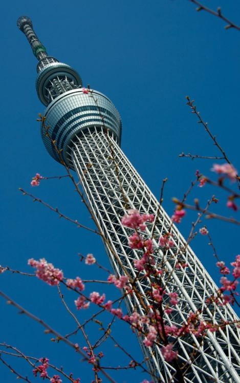 คนรัก Tokyo Sky tree