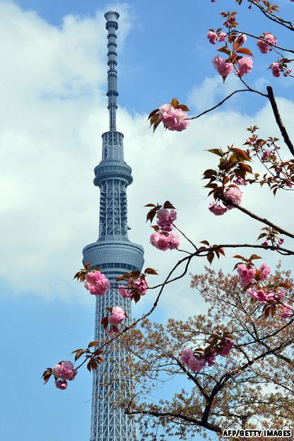 คนรัก Tokyo Sky tree