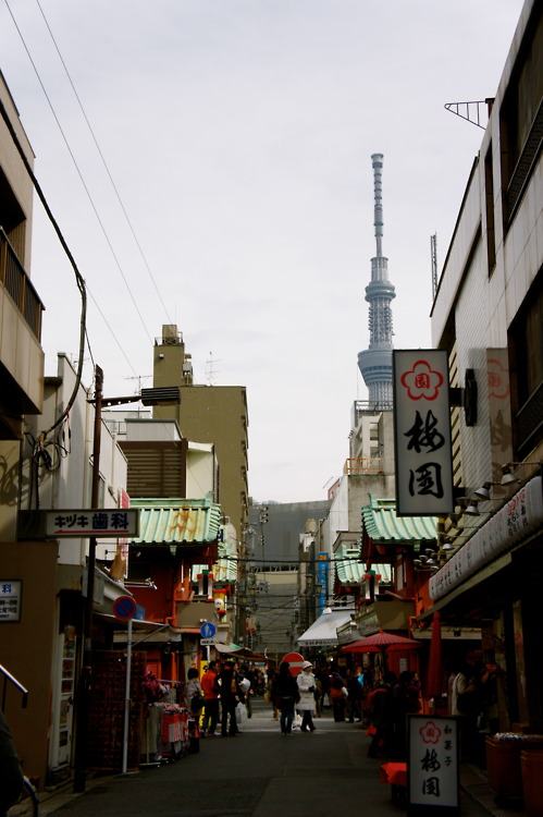 คนรัก Tokyo Sky tree