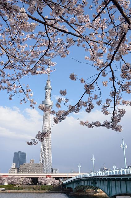 คนรัก Tokyo Sky tree