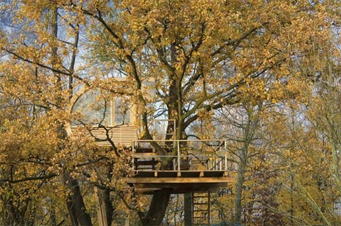 คนรักบ้านต้นไม้ 00 - Treehouse: Between Alder And Oak