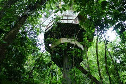 คนรักบ้านต้นไม้ 06 - Finca Bellavista: My Treehouse In The Jungle