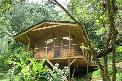 คนรักบ้านต้นไม้ 06 - Finca Bellavista: My Treehouse In The Jungle