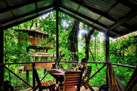 คนรักบ้านต้นไม้ 06 - Finca Bellavista: My Treehouse In The Jungle