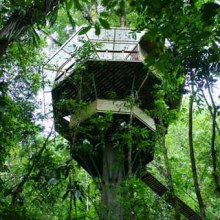 คนรักบ้านต้นไม้ 06 - Finca Bellavista: My Treehouse In The Jungle