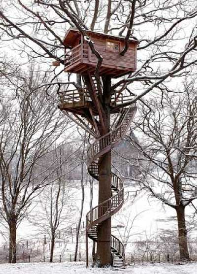 คนรักบ้านต้นไม้ 07 - Exceptional Treehouses: Cabins In The Trees