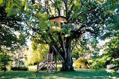 คนรักบ้านต้นไม้ 07 - Exceptional Treehouses: Cabins In The Trees