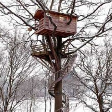 คนรักบ้านต้นไม้ 07 - Exceptional Treehouses: Cabins In The Trees