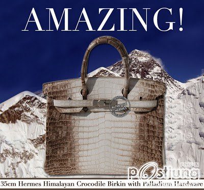 อั้ม พัชราภา กับกระเป๋าสุดหรู Hermes Birkin Himalayan ใบละ 3 ล้าน
