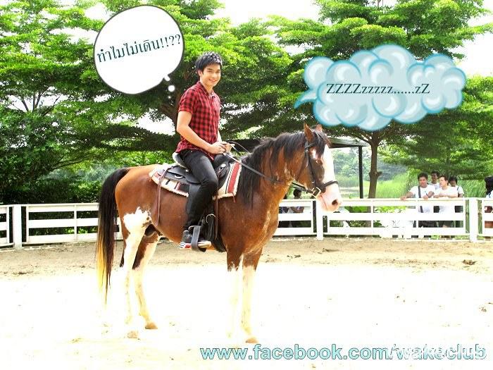 น้องสิงโต