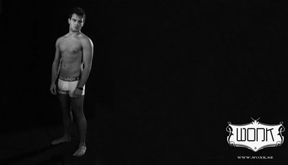 Wonk : new desktop wallpapers : HQ images