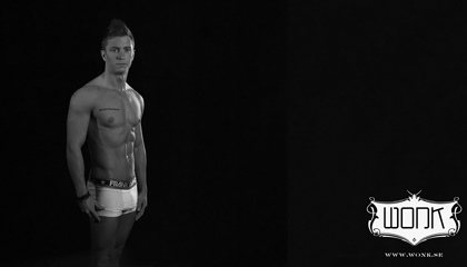 Wonk : new desktop wallpapers : HQ images