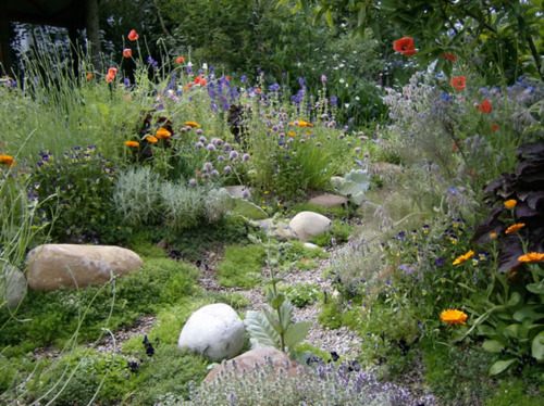 โลกนี้ช่างสวยงาม ๐๑