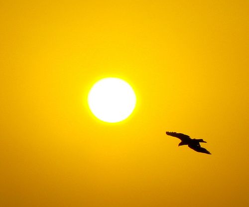 โลกนี้ช่างสวยงาม ๐๑