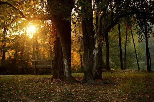 โลกนี้ช่างสวยงาม ๐๑