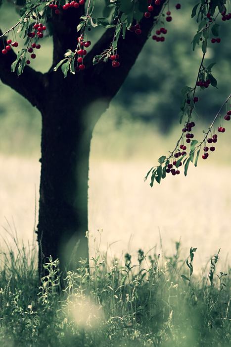 โลกนี้ช่างสวยงาม ๐๑