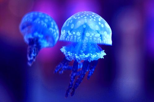 โลกนี้ช่างสวยงาม ๐๑