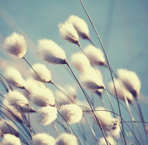 โลกนี้ช่างสวยงาม ๐๑