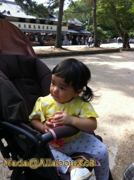 น้องณดา จูงมือ กบ-บรู๊ค ครอบครัวเฮฮา ลันล๊าญี่ปุ่น