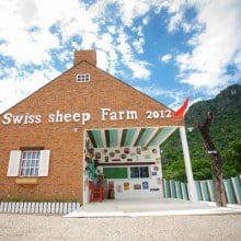 Swiss Sheep Farm ฟาร์มแกะสไตล์ยูโรคันทรี แห่ง ชะอำ