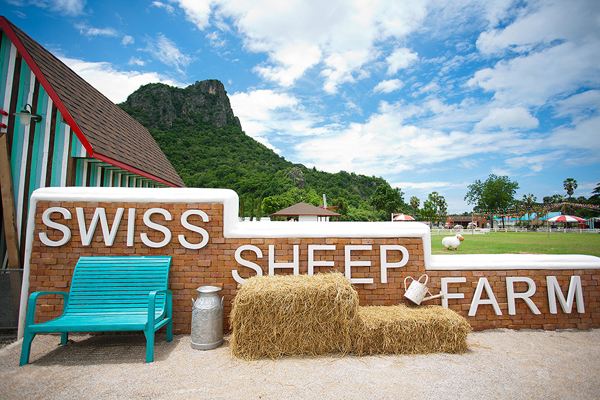 Swiss Sheep Farm ฟาร์มแกะสไตล์ยูโรคันทรี แห่ง ชะอำ