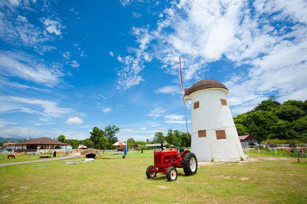 Swiss Sheep Farm ฟาร์มแกะสไตล์ยูโรคันทรี แห่ง ชะอำ