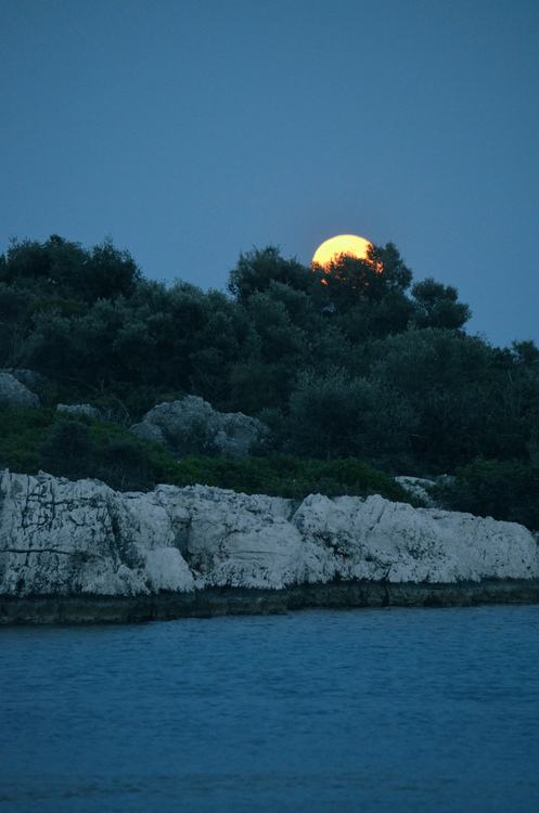 โลกนี้ช่างสวยงาม ๐๔