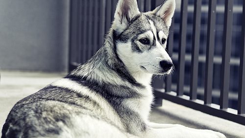 โลกนี้ช่างสวยงาม ๐๔