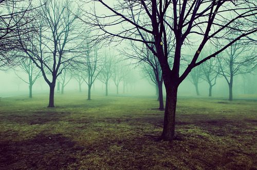 โลกนี้ช่างสวยงาม ๐๔