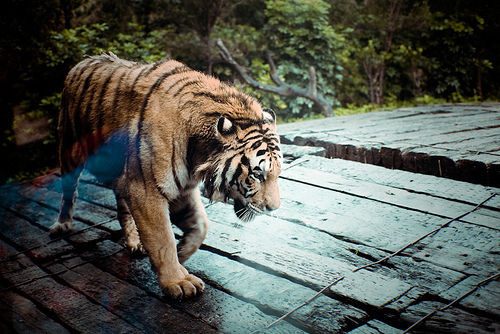 โลกนี้ช่างสวยงาม ๐๔