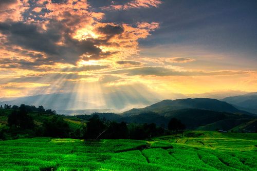 โลกนี้ช่างสวยงาม ๐๔