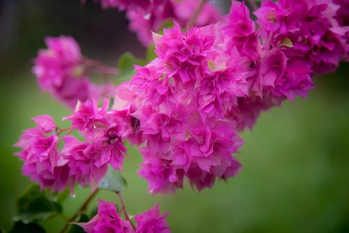 โลกนี้ช่างสวยงาม ๐๔