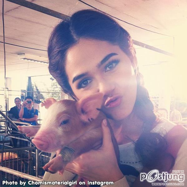 รวมความน่ารักของ ชมพู่ อารยา