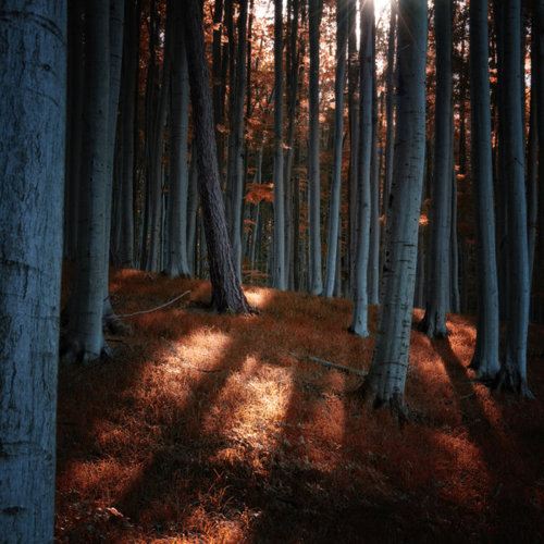 โลกนี้ช่างสวยงาม ๐๖