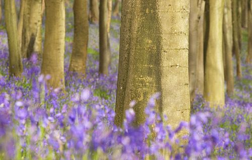 โลกนี้ช่างสวยงาม ๐๖