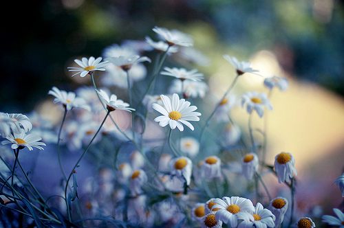 โลกนี้ช่างสวยงาม ๐๘