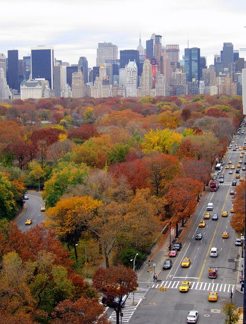 โลกนี้ช่างสวยงาม ๐๘