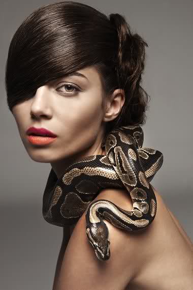 fashion with snake