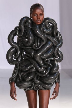 fashion with snake