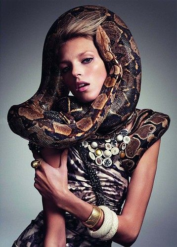 fashion with snake