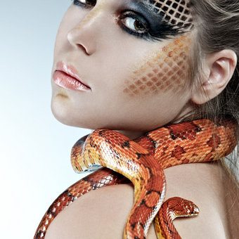 fashion with snake