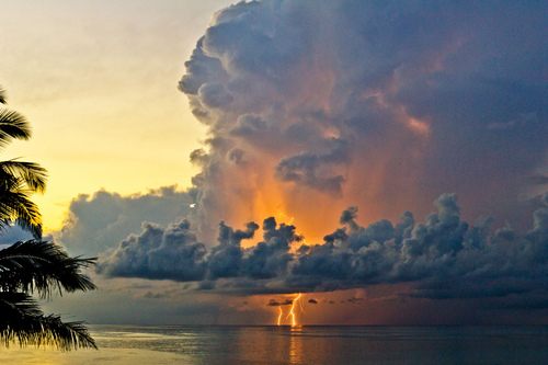 โลกนี้ช่างสวยงาม ๑๑