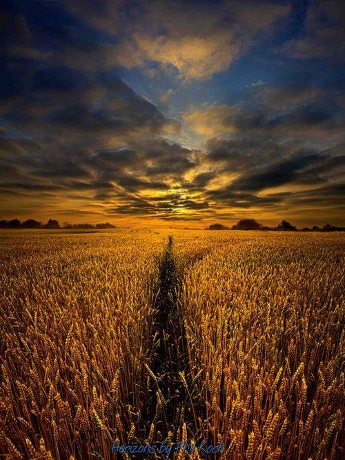 โลกนี้ช่างสวยงาม ๑๑