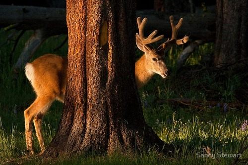 โลกนี้ช่างสวยงาม ๑๑