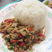 โลกอึ่ง ผัดกระเพราไข่ดาวของไทย หาทานง่ายกินอร่อยได้ทุกวี่วัน