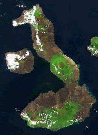 เกาะม้าน้ำ หนึ่งในบรรดาหมู่เกาะกาลาปากอส