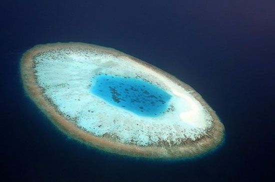 เกาะรูปลูกตา เกาะเล็ก ๆ ในบรรดาหมู่เกาะมัลดีฟส์